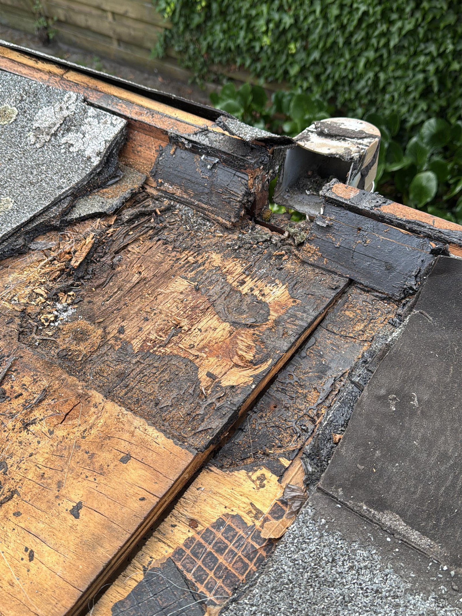 Dakbedekking Duijster_0006_WhatsApp Image 2025-08-20 at 17.49.59 (1)